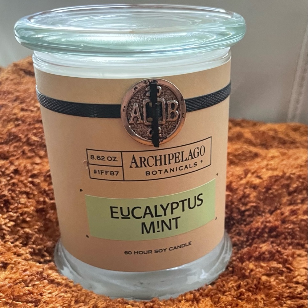 Eucalyptus Mint Jar Candle - Picture 1 of 1